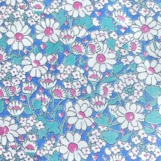 Photo2: Alice W【Poplin】 (2)