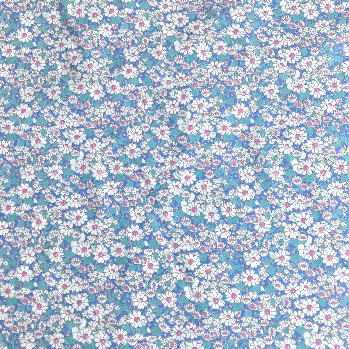 Photo3: Alice W【Poplin】 (3)