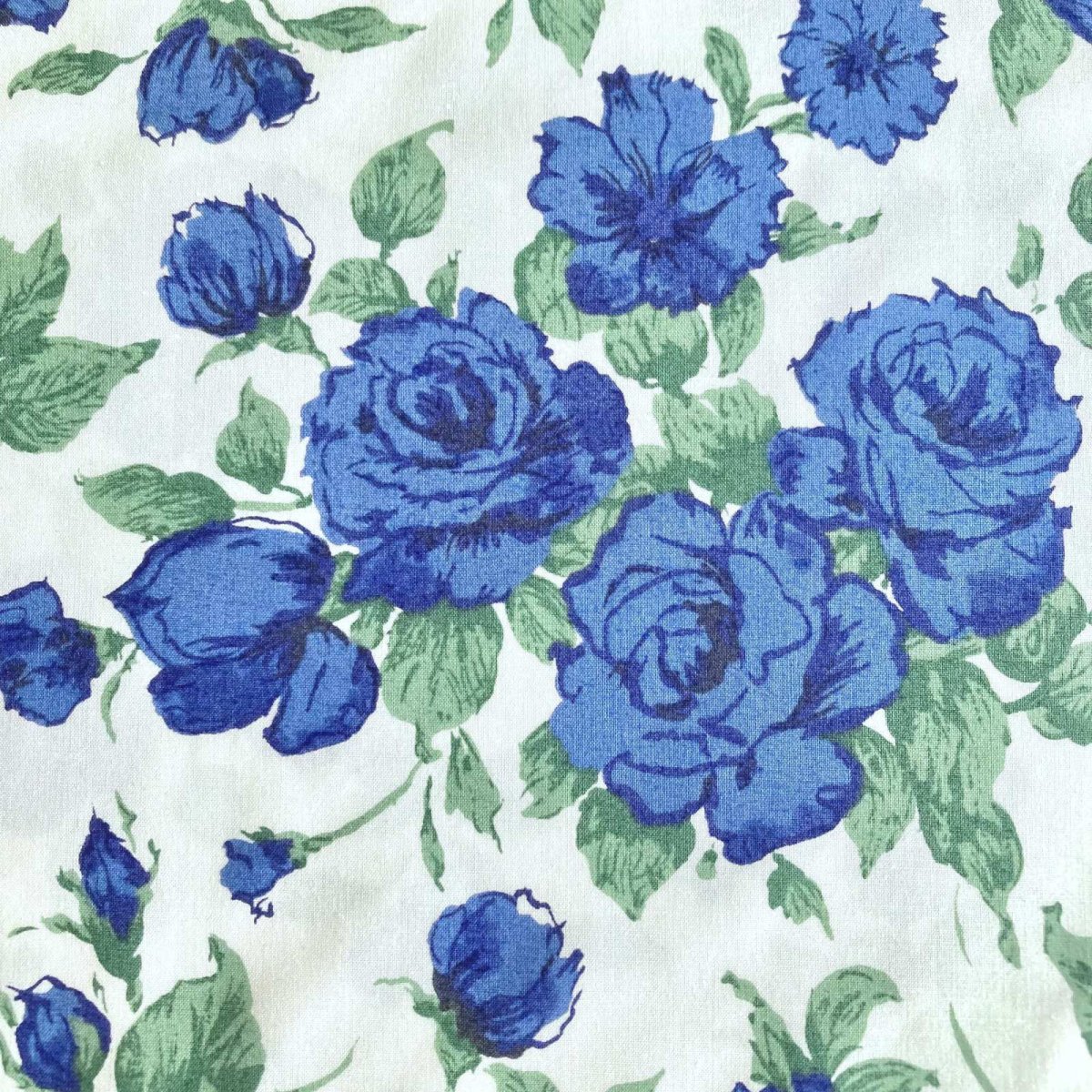 Photo13: Carline【Poplin】 (13)