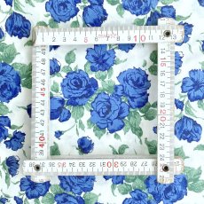 Photo18: Carline【Poplin】 (18)