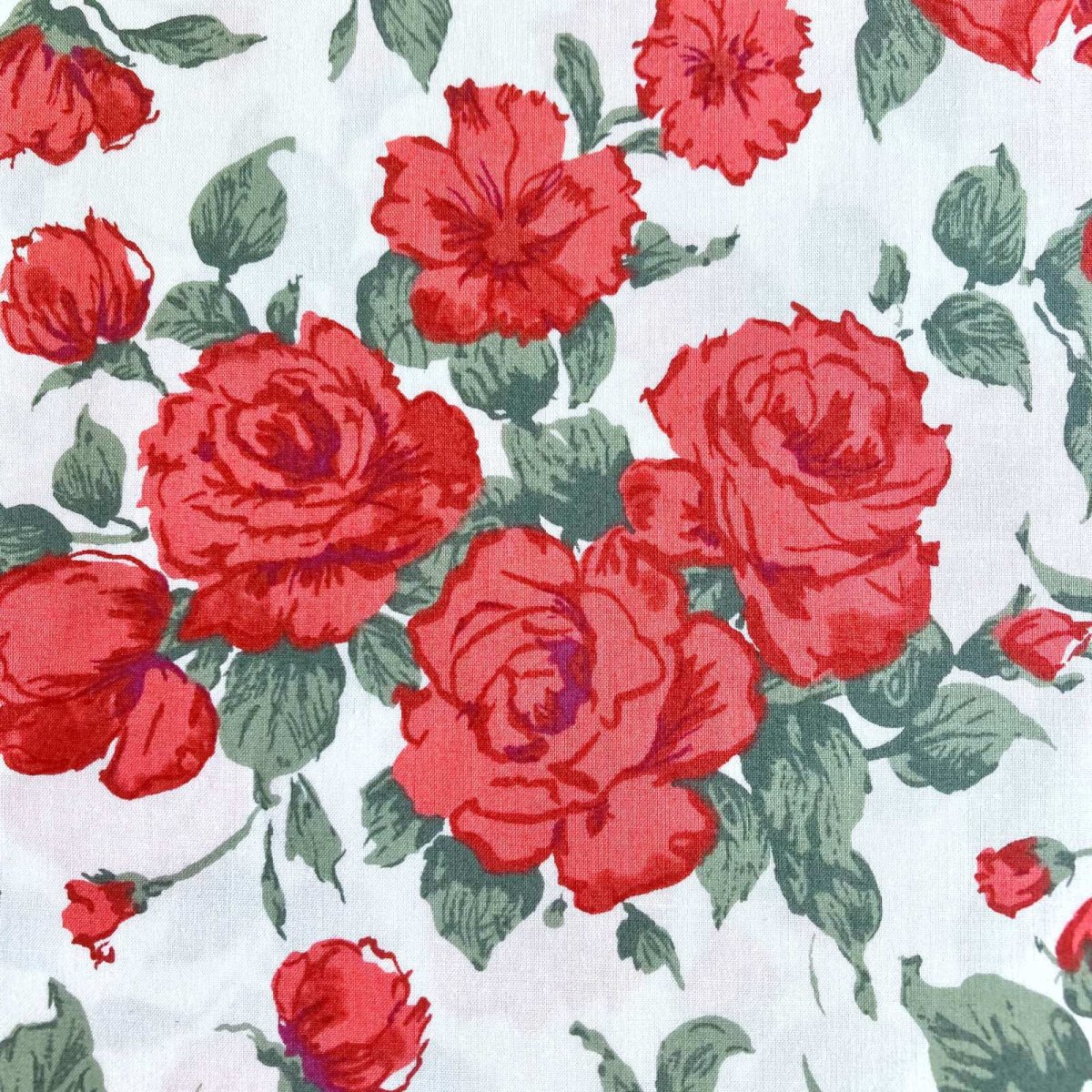 Photo9: Carline【Poplin】 (9)