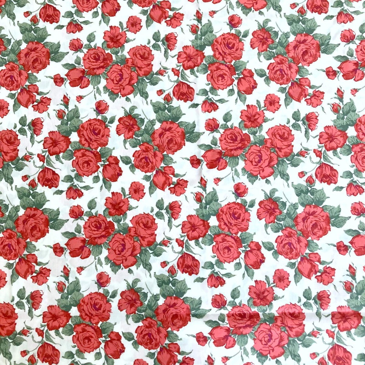 Photo8: Carline【Poplin】 (8)