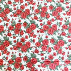 Photo8: Carline【Poplin】 (8)