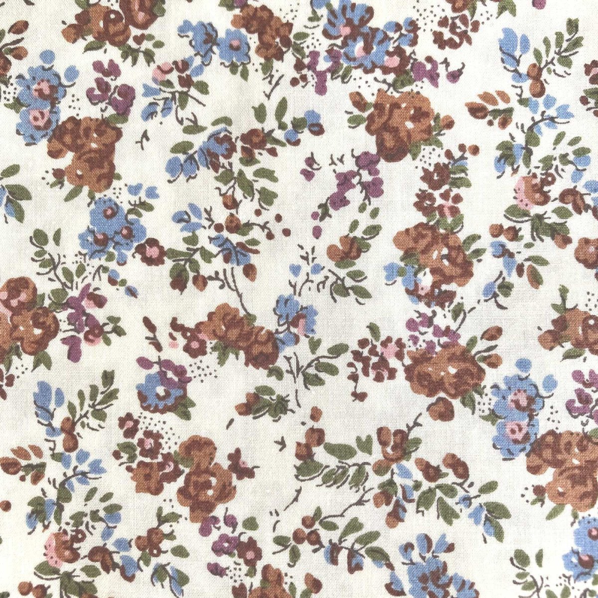 Photo1: Moon Moth【Poplin】 (1)