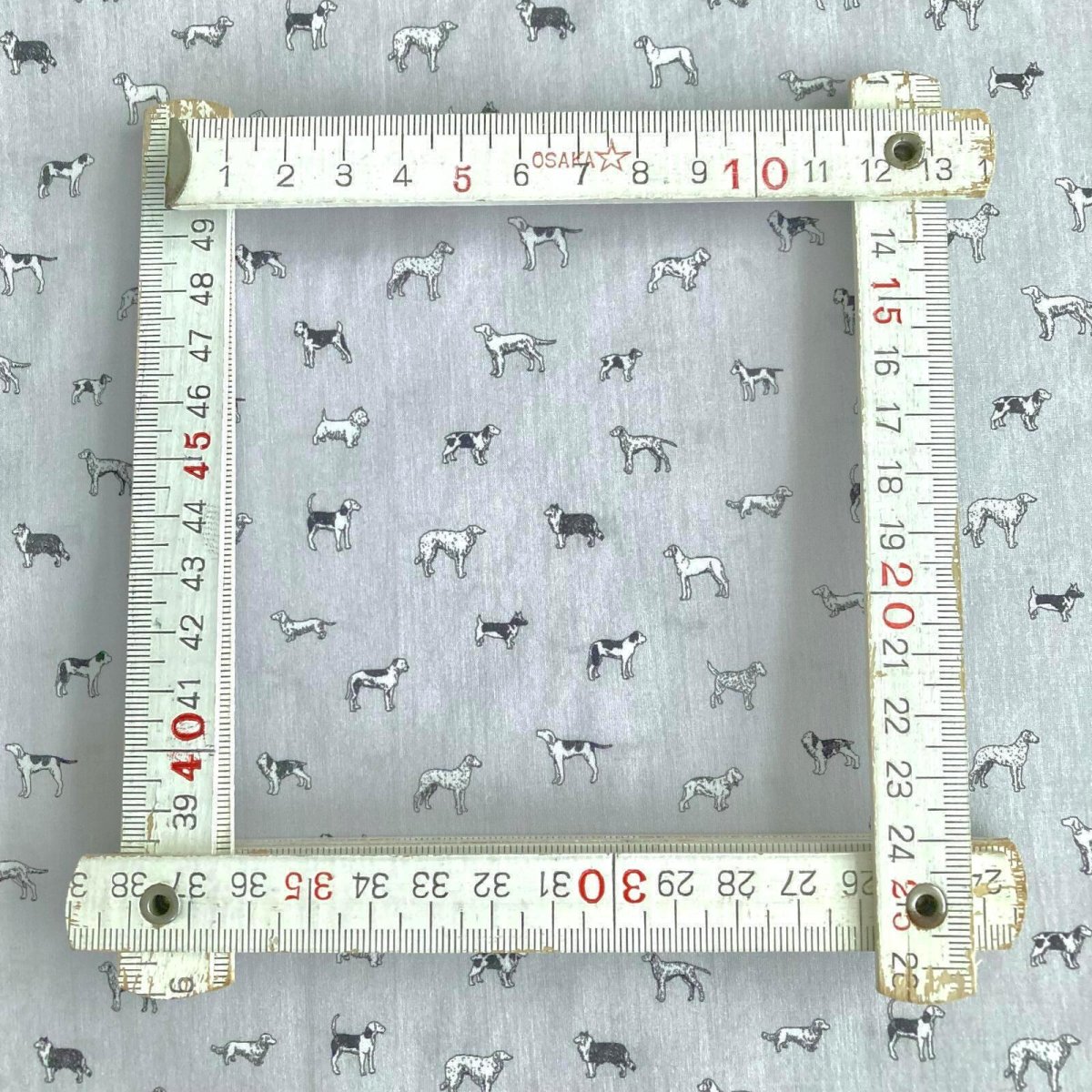 Photo17: Man's Best Friend (17)