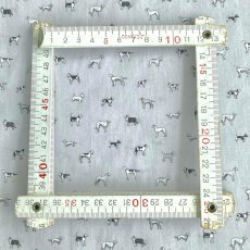 Photo17: Man's Best Friend (17)