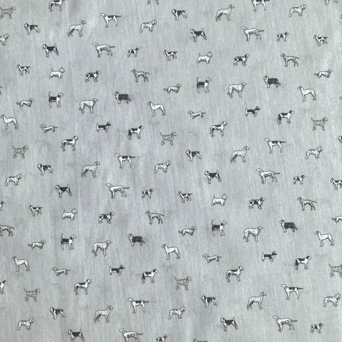 Photo18: Man's Best Friend (18)