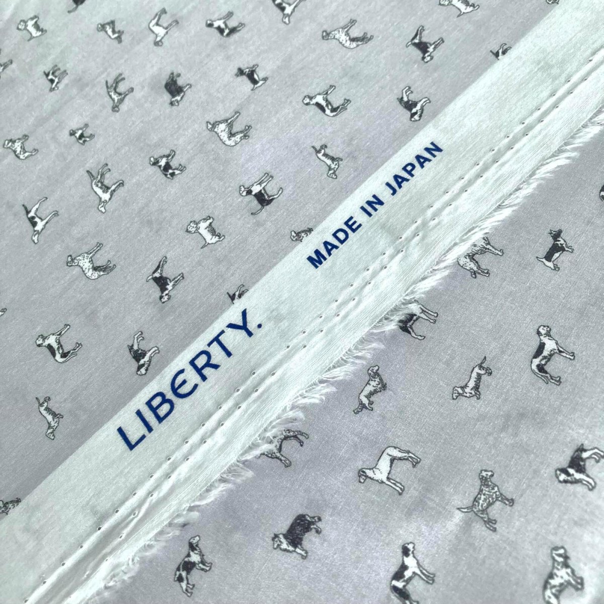 Photo19: Man's Best Friend (19)