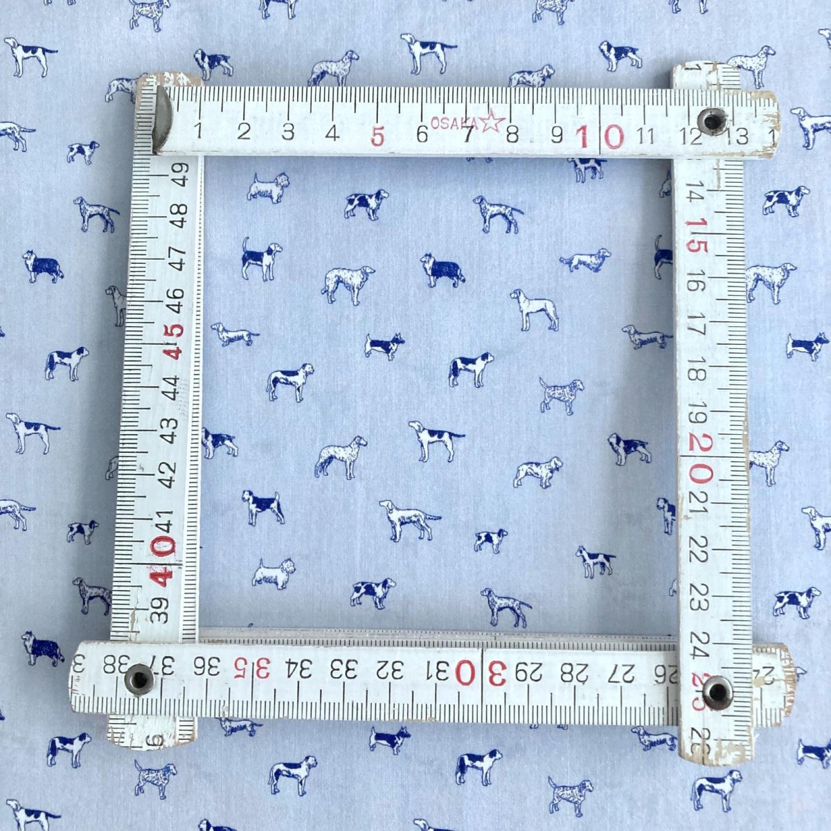 Photo11: Man's Best Friend (11)