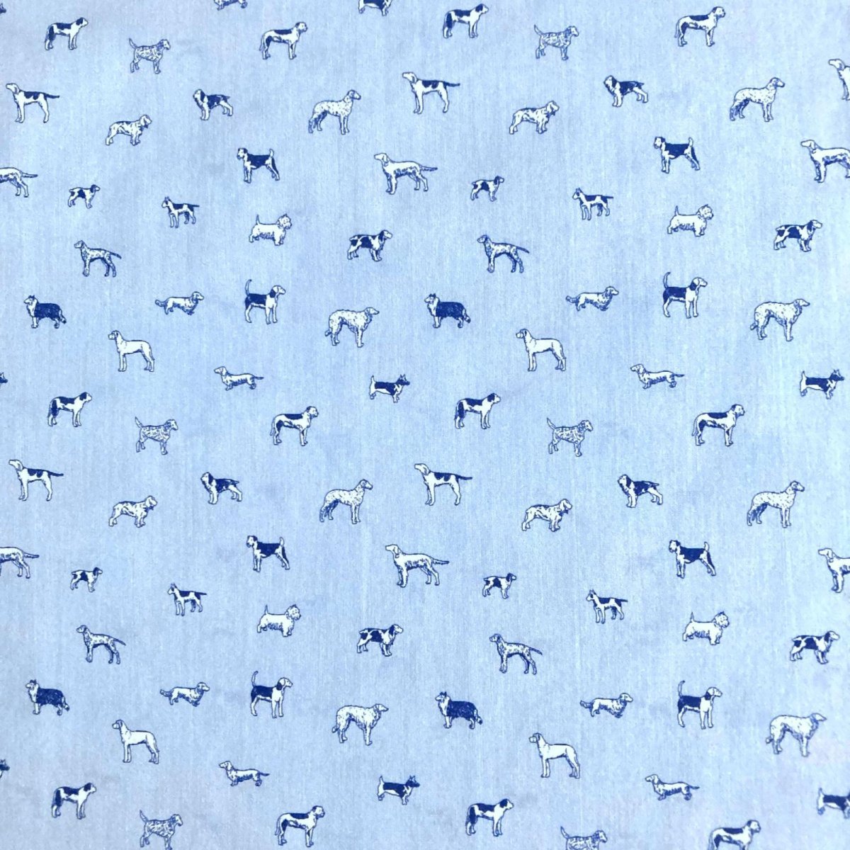 Photo9: Man's Best Friend (9)