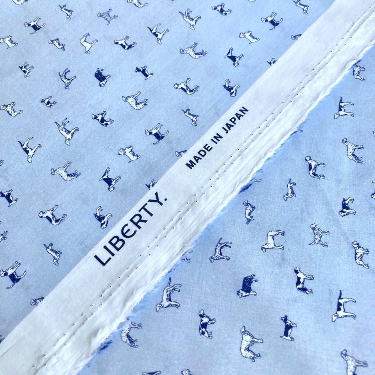 Photo10: Man's Best Friend (10)