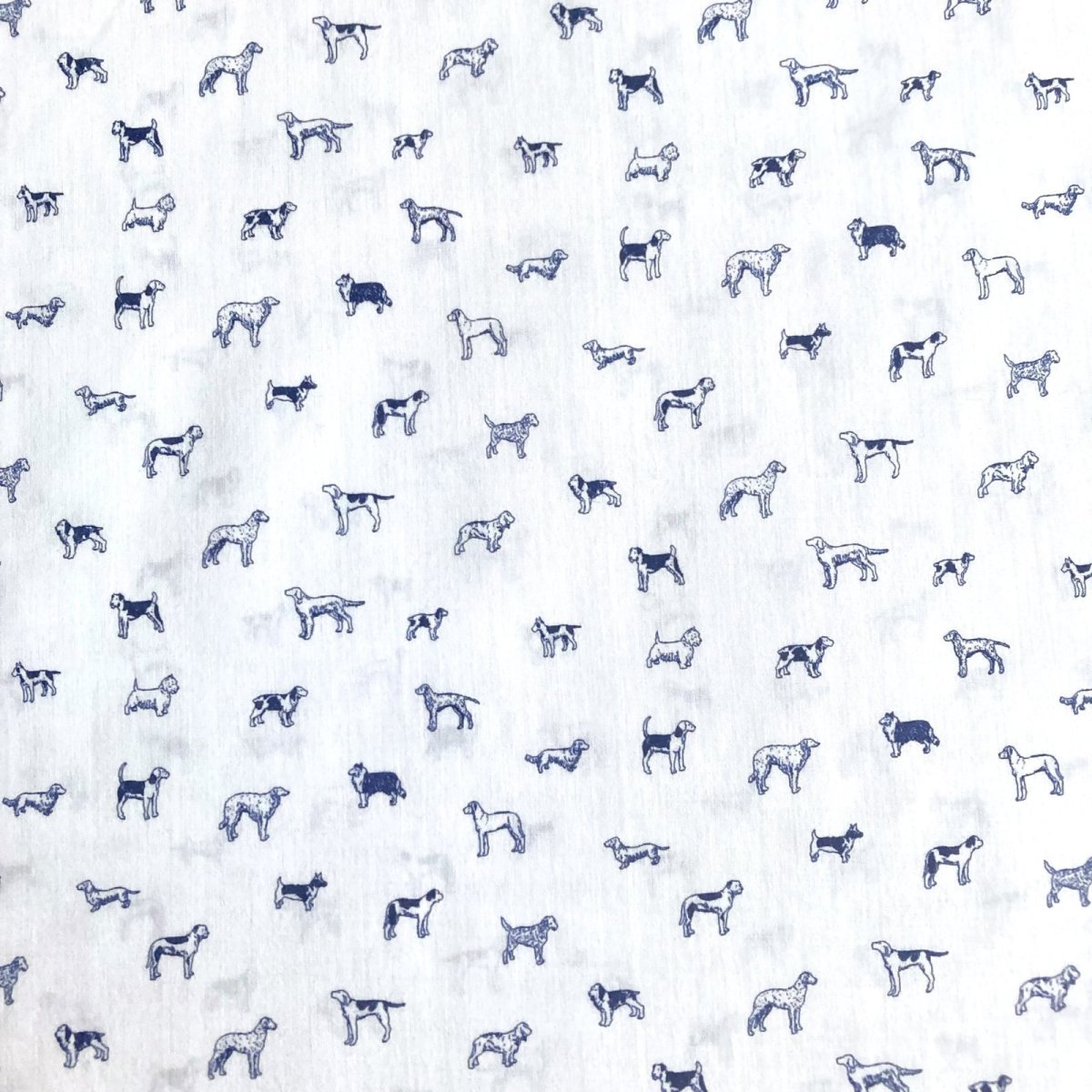 Photo3: Man's Best Friend (3)