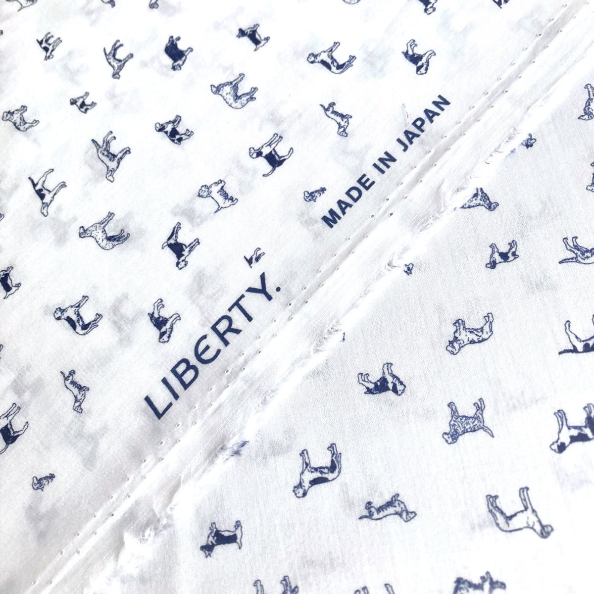 Photo4: Man's Best Friend (4)