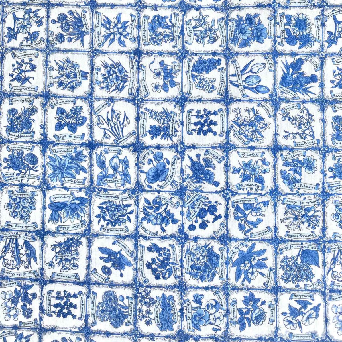 Photo8: Language of Flowers【AW24】 (8)