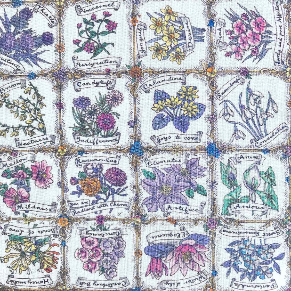 Photo1: Language of Flowers【AW24】 (1)