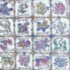 Photo1: Language of Flowers【AW24】 (1)