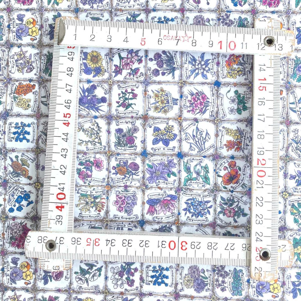 Photo4: Language of Flowers【AW24】 (4)