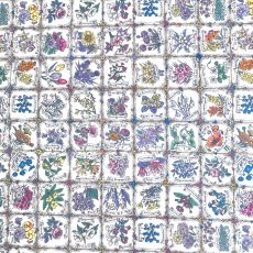 Photo3: Language of Flowers【AW24】 (3)