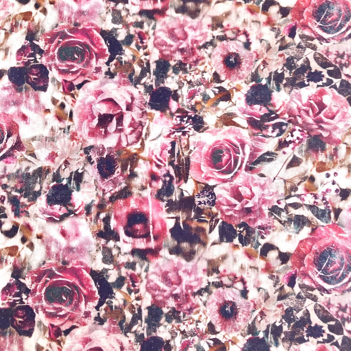 Photo7: Florist's Lens【AW24】 (7)