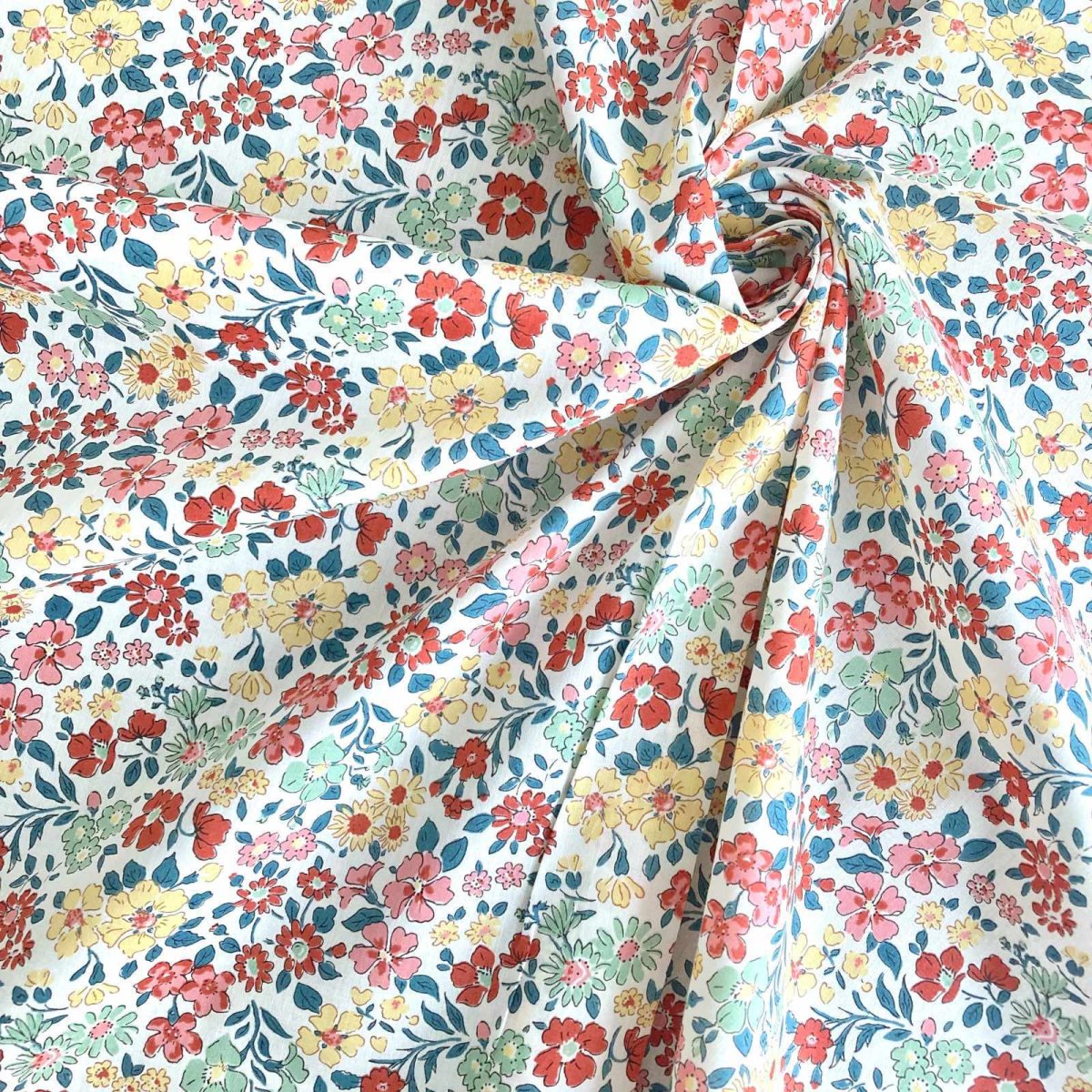 Photo3: Annabella (3)