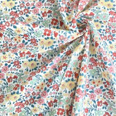 Photo3: Annabella (3)