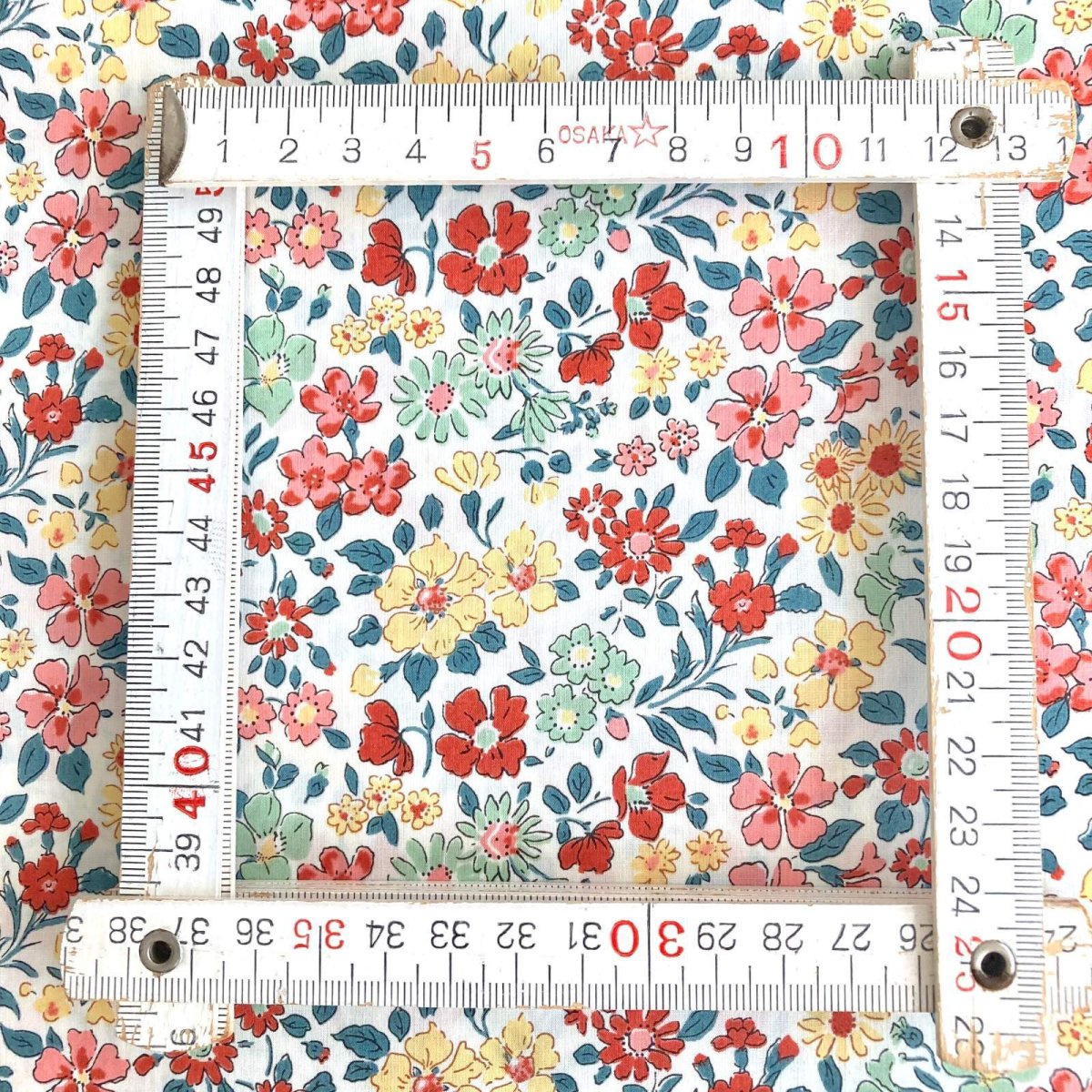 Photo5: Annabella (5)