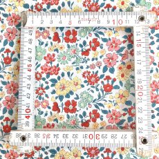 Photo5: Annabella (5)