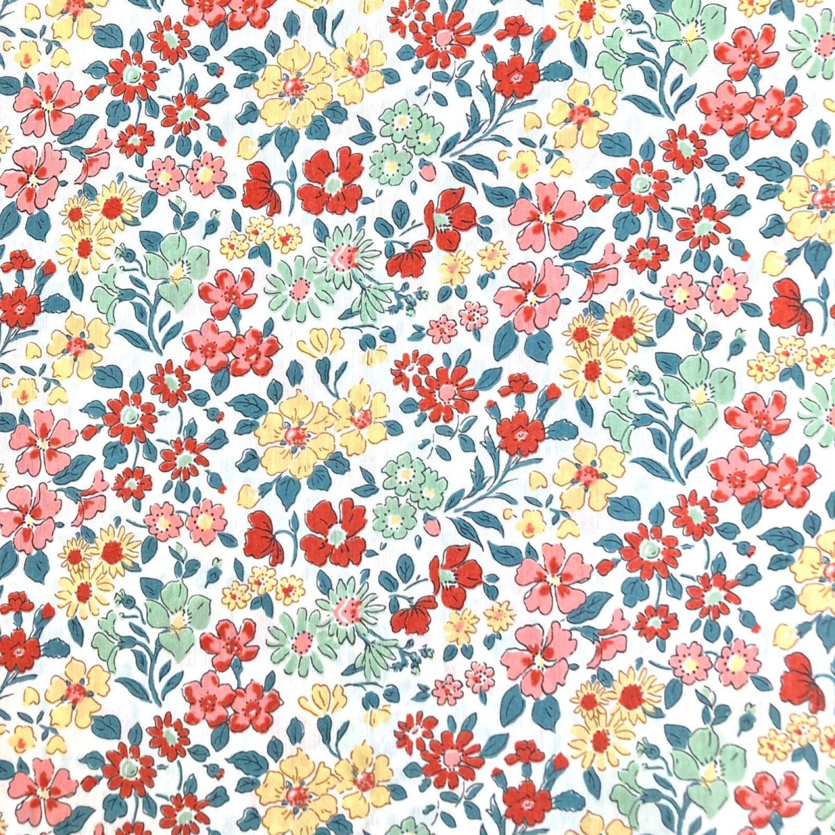 Photo2: Annabella (2)