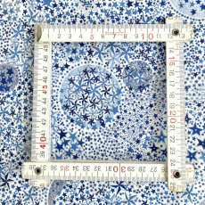 Photo13: Adelajda (13)