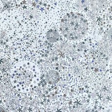 Photo7: Adelajda (7)