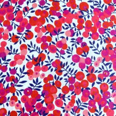 Photo1: Wiltshire (1)