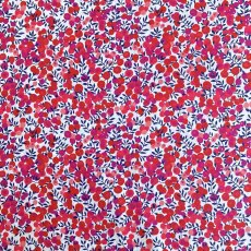 Photo4: Wiltshire (4)