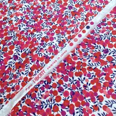 Photo3: Wiltshire (3)