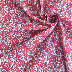 Photo2: Wiltshire (2)