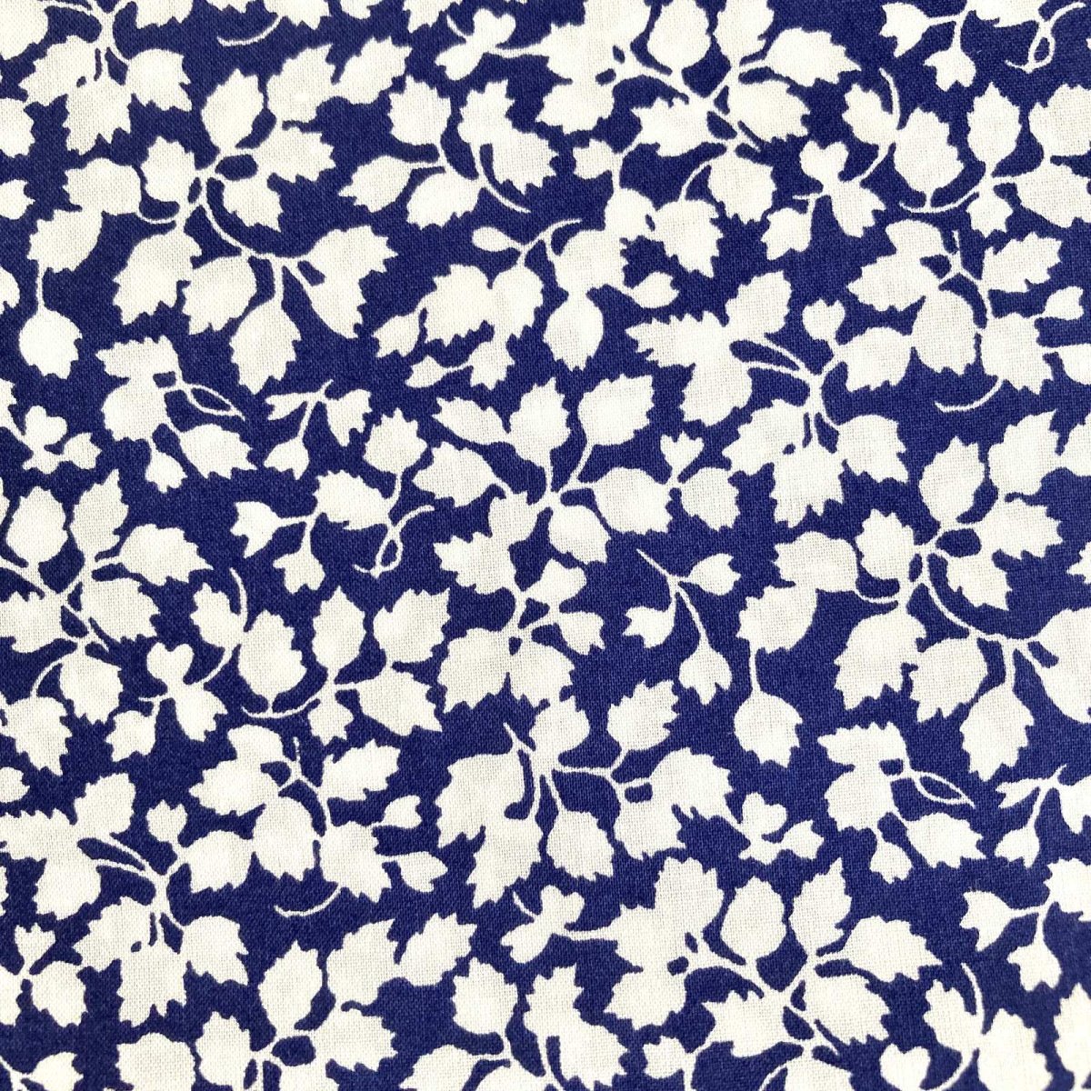 Photo5: Glenjade (5)