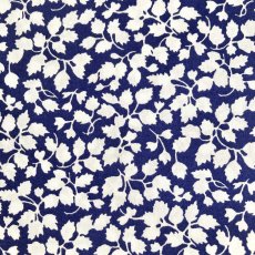 Photo5: Glenjade (5)