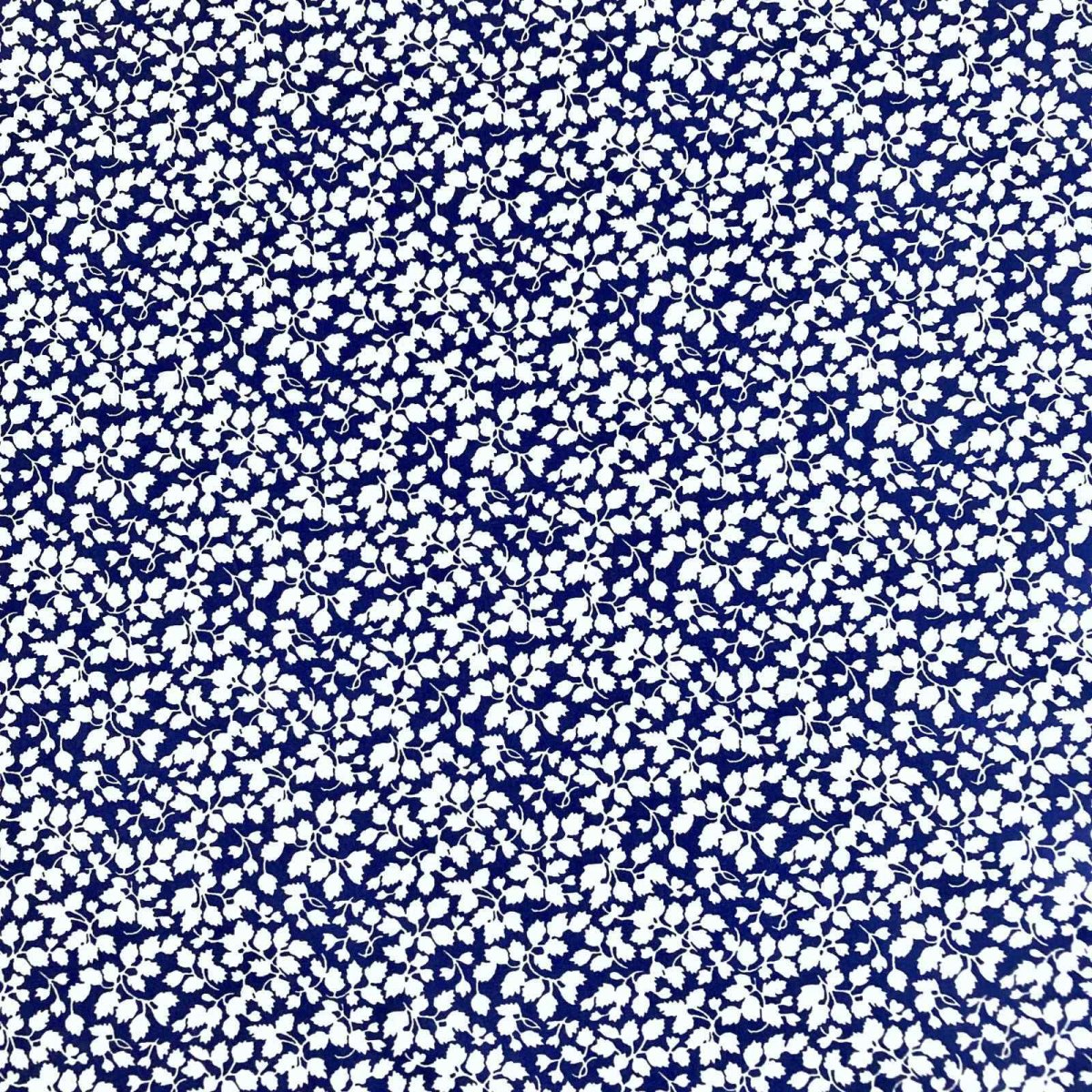 Photo8: Glenjade (8)