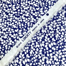 Photo7: Glenjade (7)