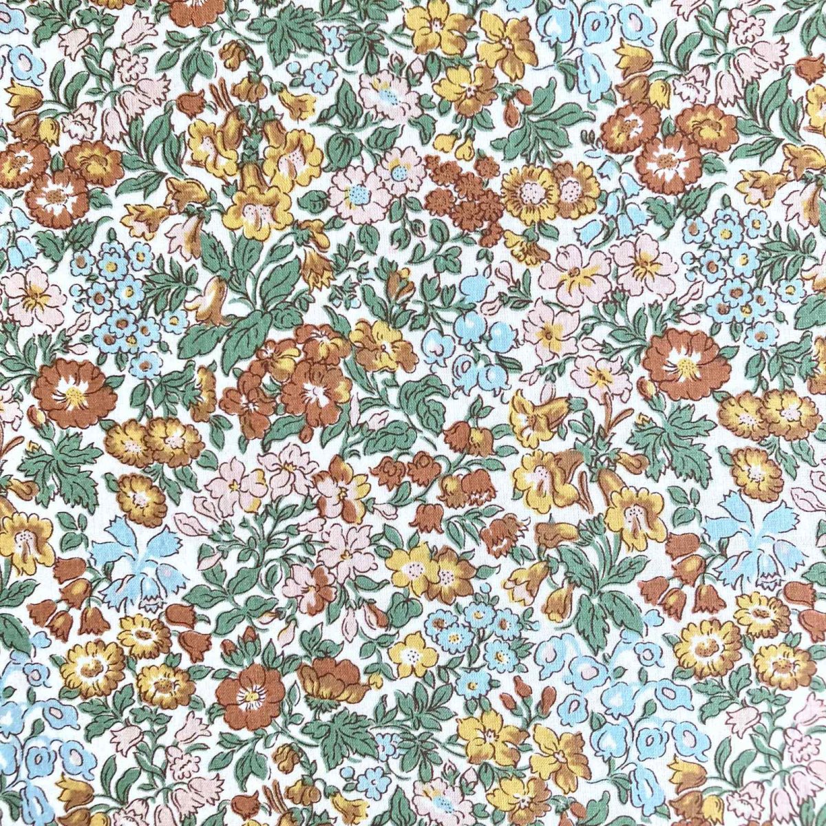 Photo1: Penstemon Road (1)