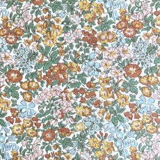 Photo1: Penstemon Road (1)