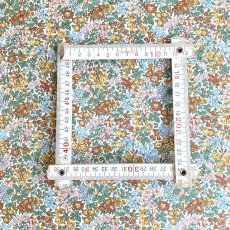 Photo5: Penstemon Road (5)