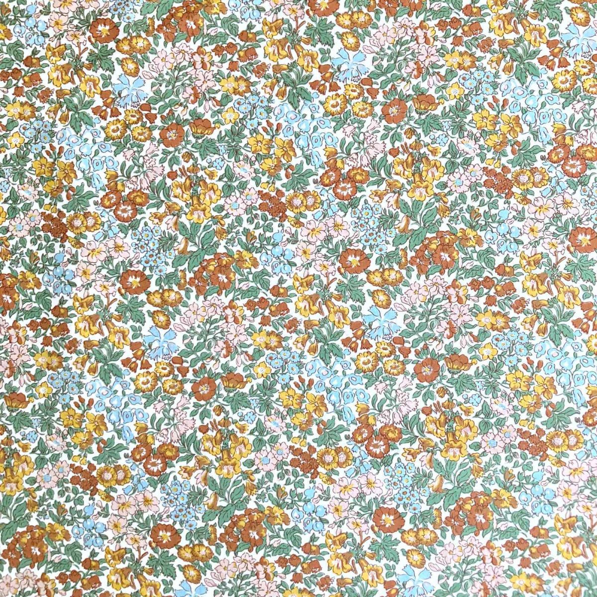 Photo3: Penstemon Road (3)