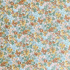 Photo3: Penstemon Road (3)