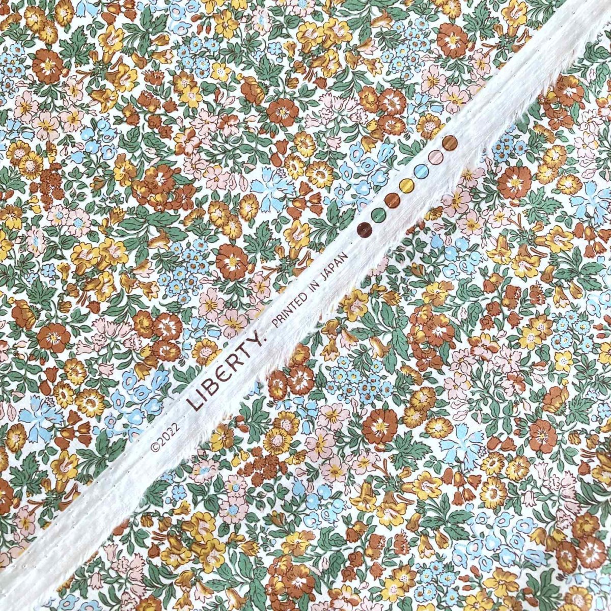 Photo4: Penstemon Road (4)