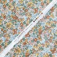 Photo4: Penstemon Road (4)