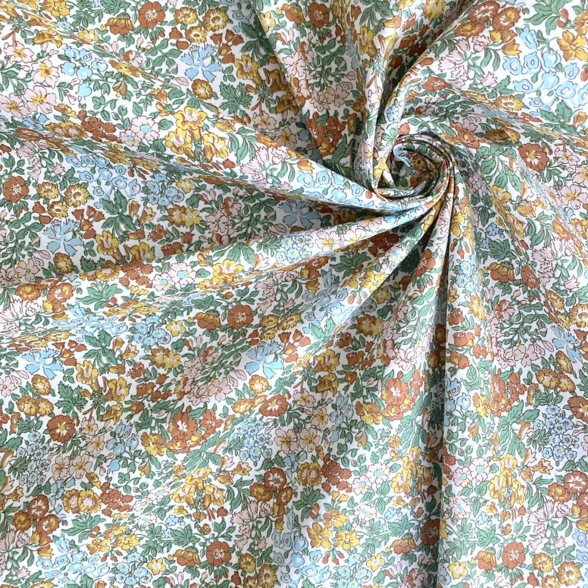 Photo2: Penstemon Road (2)