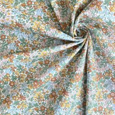 Photo2: Penstemon Road (2)