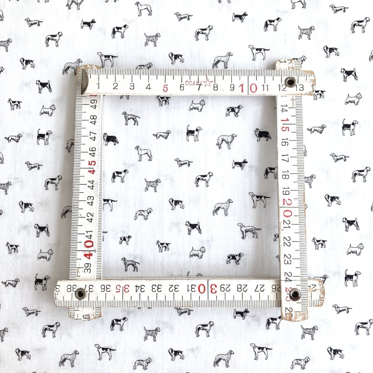 Photo6: Man's Best Friend (6)