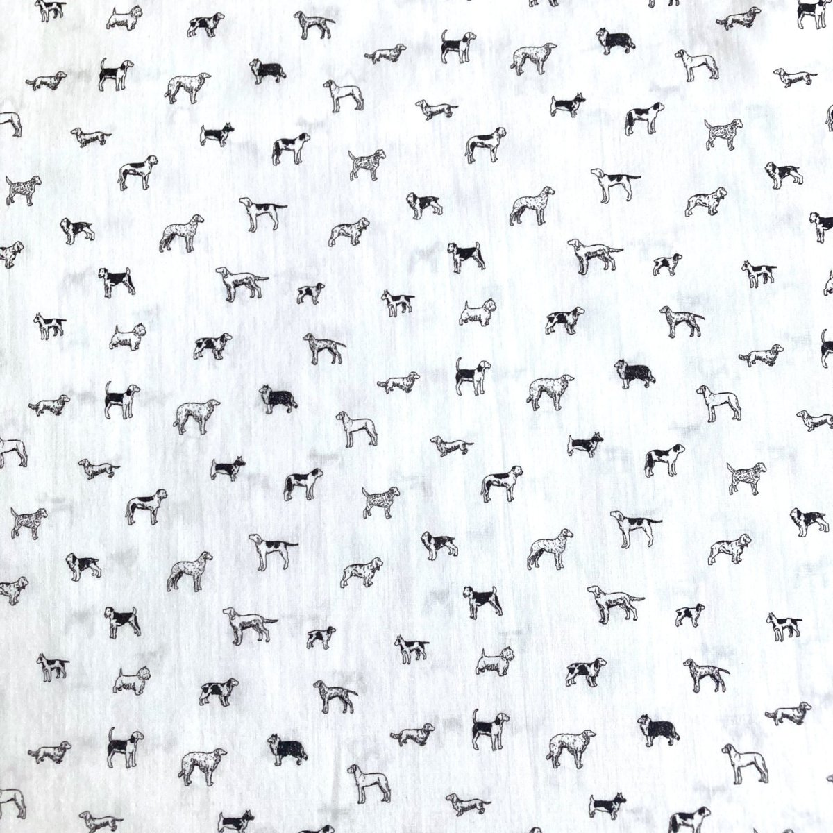 Photo14: Man's Best Friend (14)