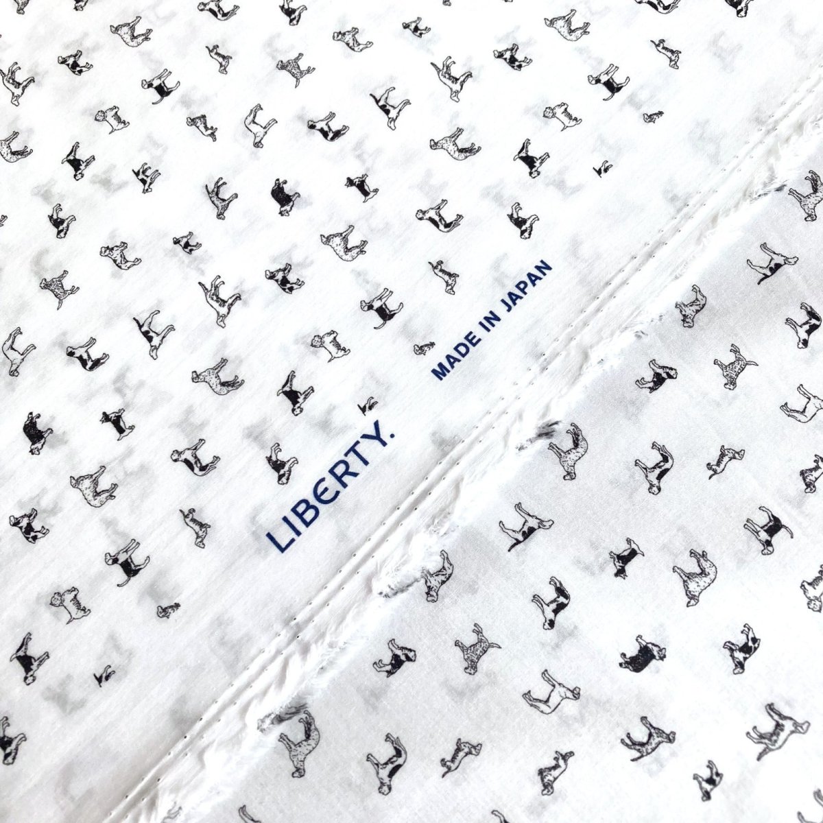 Photo13: Man's Best Friend (13)